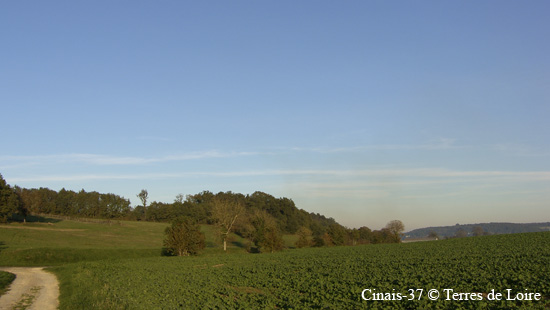 055-SH102206