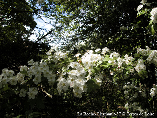 072-DSCN1426