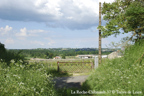 083-DSC_1853