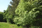 066-DSC_1834