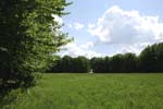 068-DSC_1836