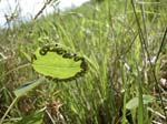 069-DSCN1422
