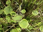070-DSCN1423