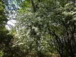 071-DSCN1427