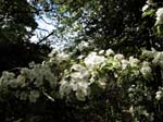 072-DSCN1426