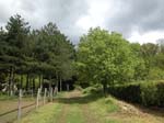 099-DSCN1383