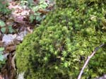 103-DSCN1395