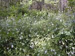 107-DSCN1406