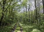 108-DSCN1407