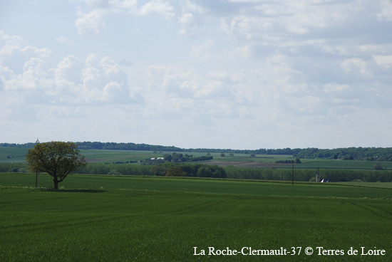 087-DSC_1912