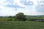 071-DSC_1898