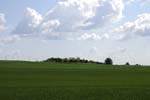 086-DSC_1911