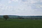 087-DSC_1912