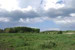 050-DSC_1978