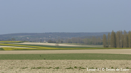 016-SH102293