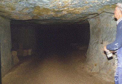 slide0004_image007