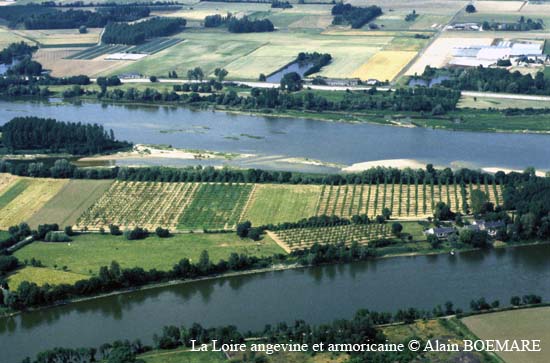906-Montjean-sur-Loire