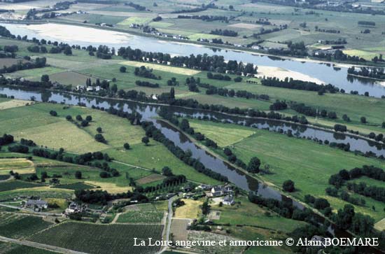 907-Montjean-sur-Loire