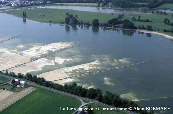 910 - Ingrandes