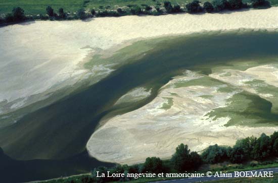 913 - Montrelais
