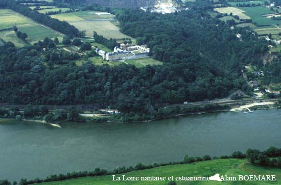 928-Le Cellier-chateau Guy