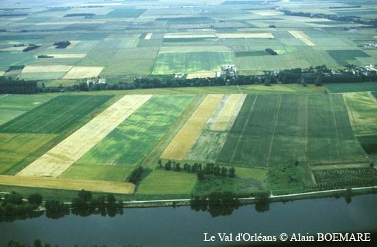 529 - Beaugency