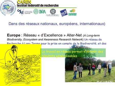 Slide0011
