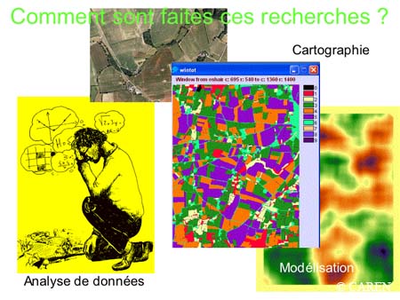 Slide0016