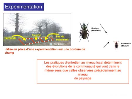 Slide0029