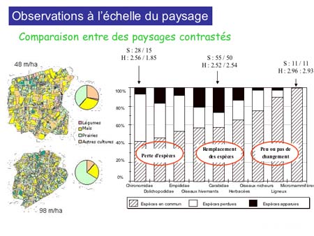 Slide0030