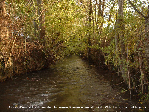 a01 - la Brenne