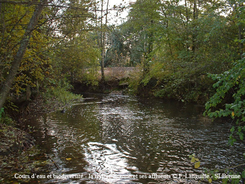 a02 - la Brenne