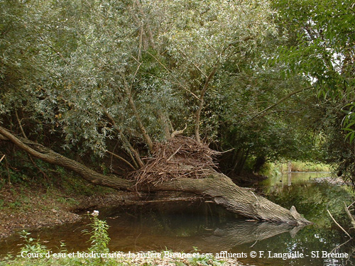 a08 - la Brenne