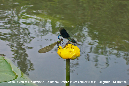 a14 - la Brenne