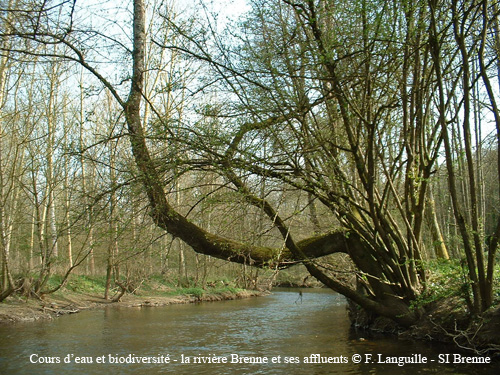 a20 - la Brenne