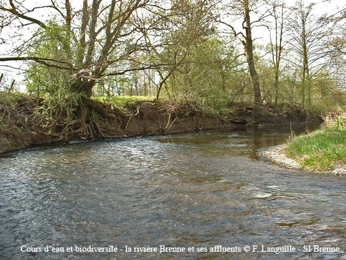 a24 - la Brenne