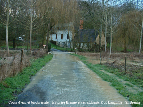 b02 - le Rondy