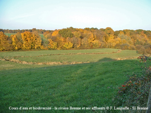 d02 - vallee du Gault