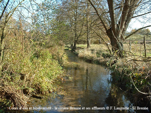 d04 - le Gault