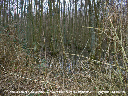 f02 - un paysage de #4FE4ED
