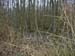 f02 - un paysage de #4FE4ED