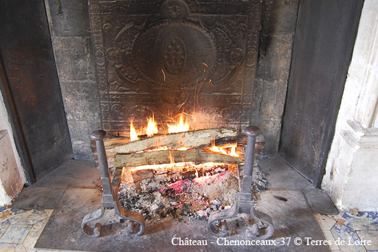 037-chenonceau-30