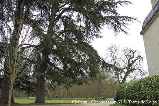 130-chenonceau-177