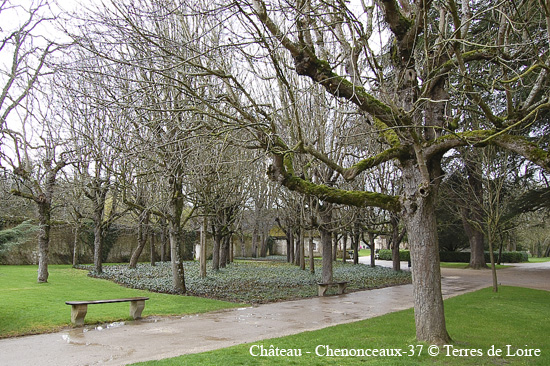 131-chenonceau-178