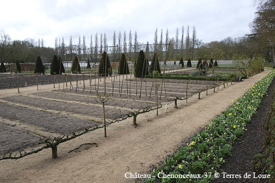 148-chenonceau-197