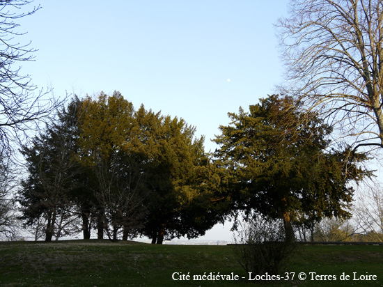 064-P1090597