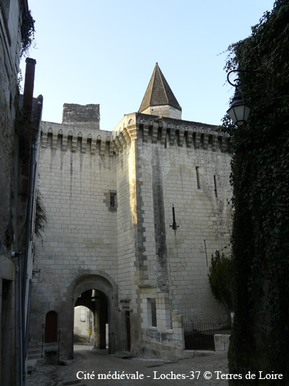 083-P1090610
