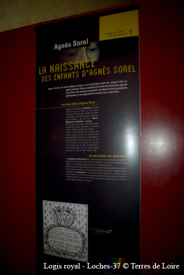 078-SG108007