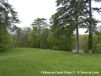 4c-0043-SH109839