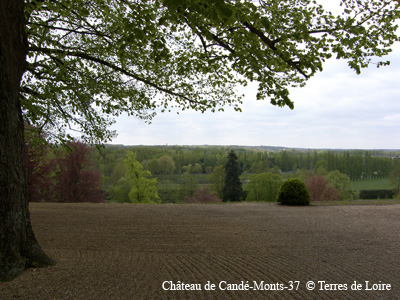 4c-0044-SH109827